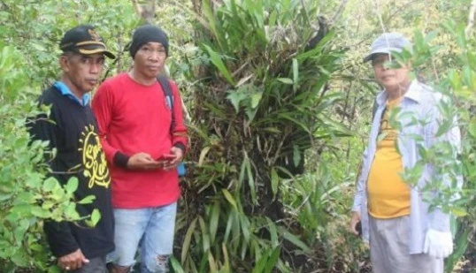 Desa Kahala Punya Potensi Besar di Pertanian, Perkebunan, dan Perikanan